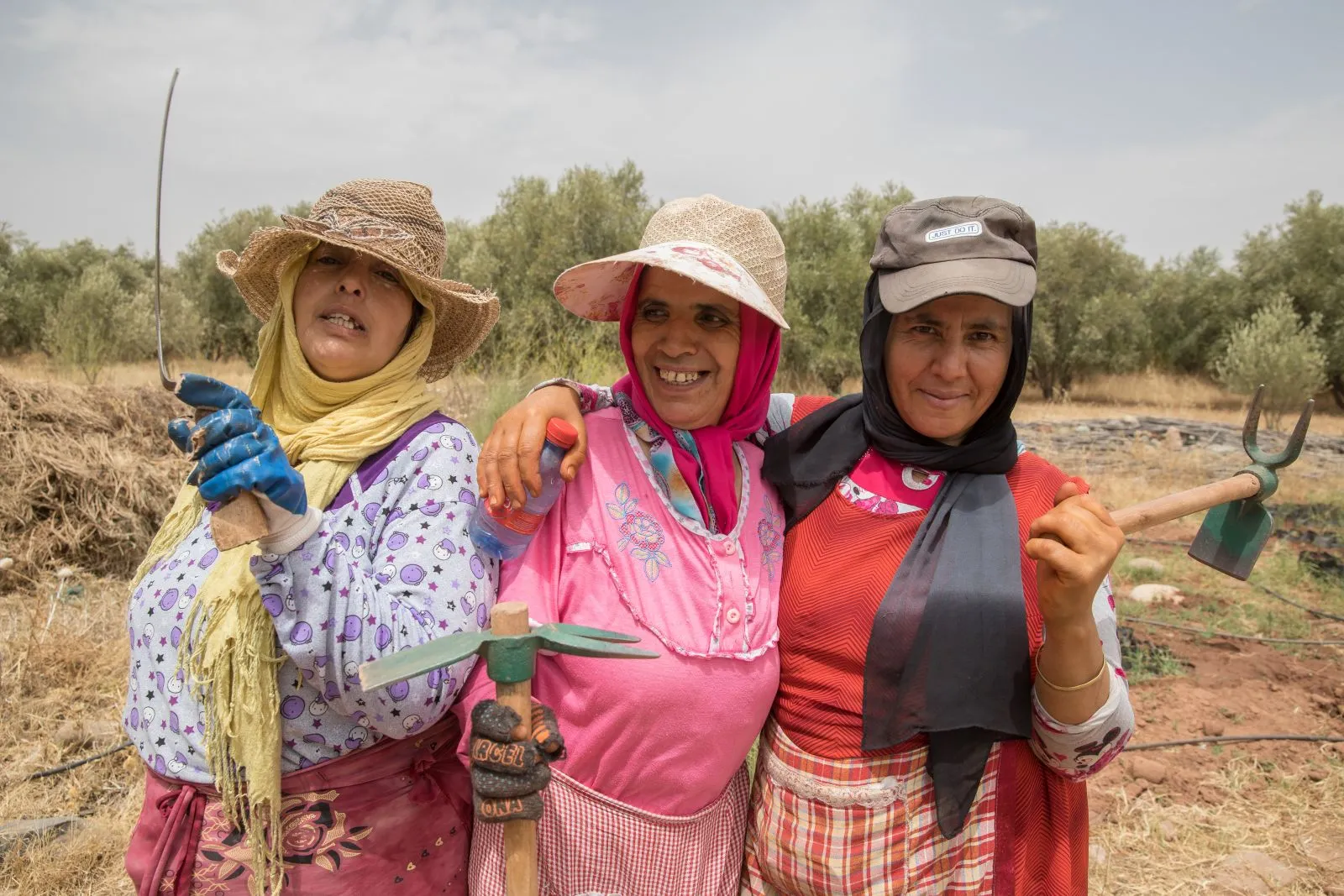 محرك بحث صديق للبيئة