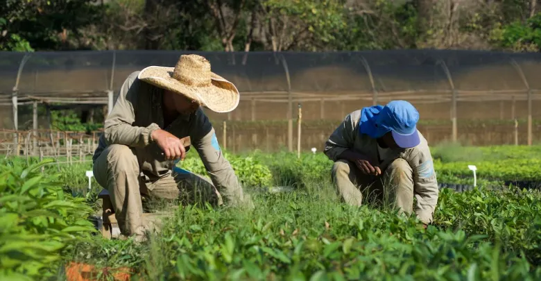 محرك بحث صديق للبيئة