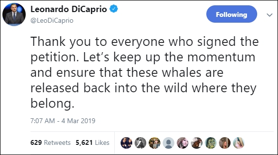 ليوناردو دي كابريو ينقذ الحيتان