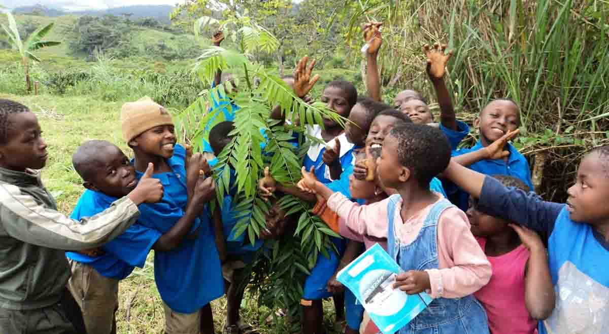 المحافظة على البيئة