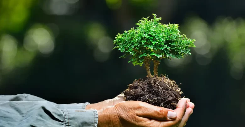 الوعي البيئي والمحافظة عليه