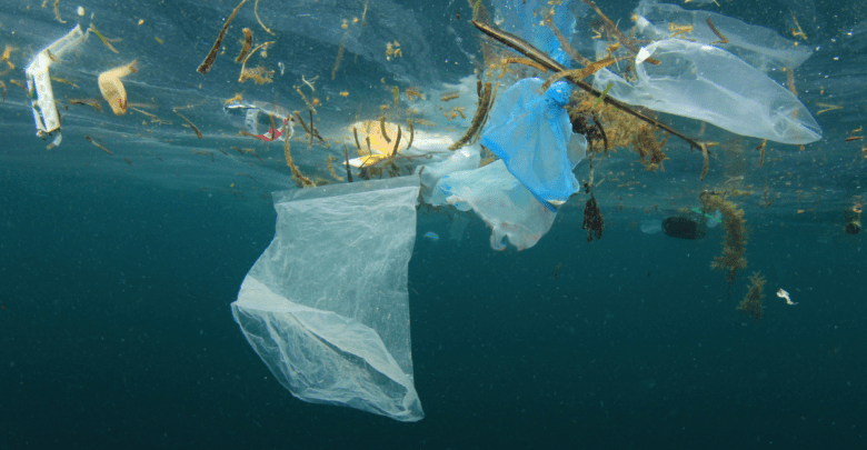 مشكلة التلوث البلاستيكي
