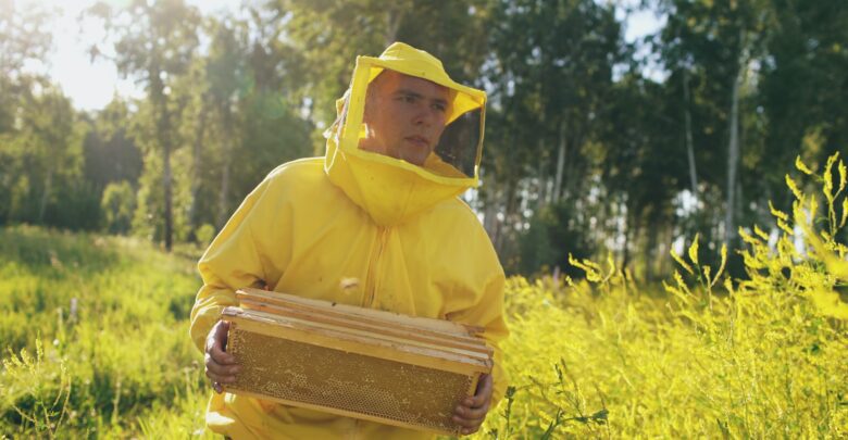 دور النحل في عملية التلقيح