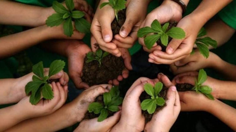 المحافظة على البيئة