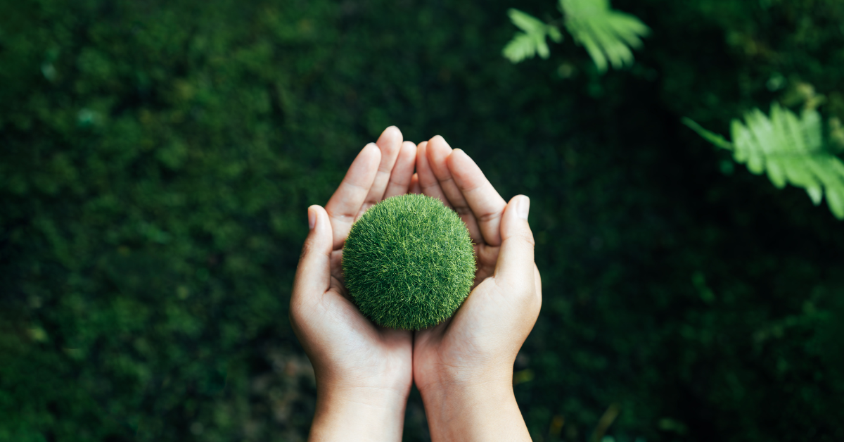 الاقتصاد الأخضر