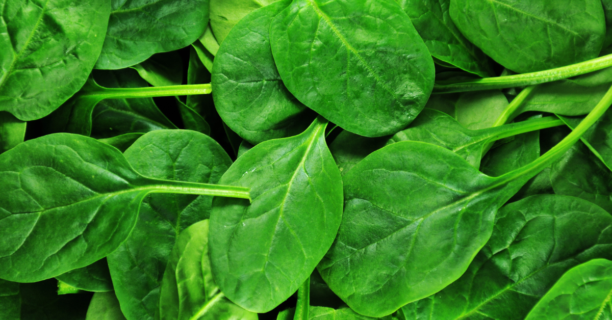 الخضروات الورقية