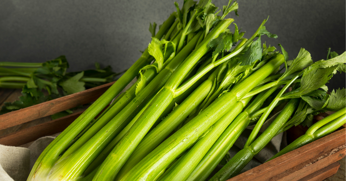 الخضروات الورقية