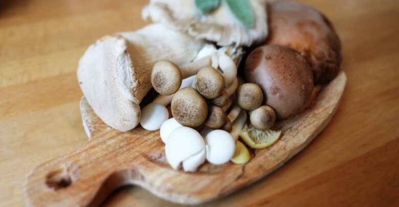 فوائد المشروم